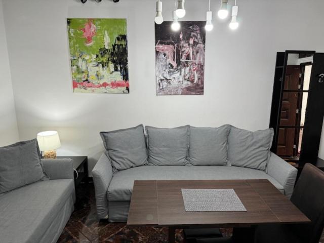 טימישוארה Joy City Stay Ungureanu 6B מראה חיצוני תמונה